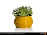 Fillamentum PLA Peppered Mustard - 1.75mm, 750 gram - Bild 2